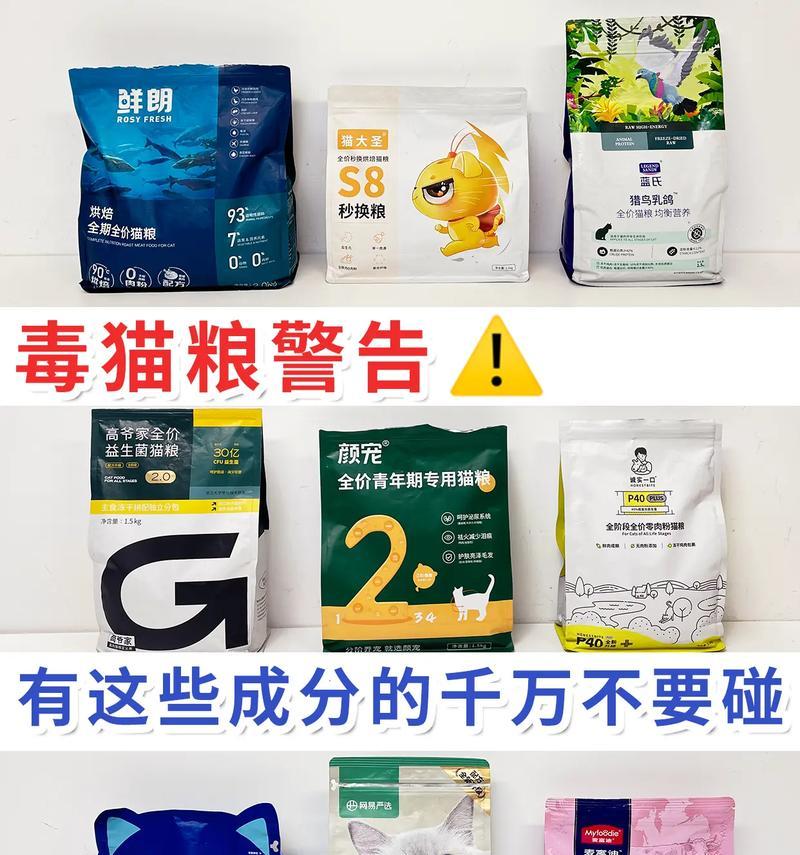 羊驼是什么杂交的？布偶猫咪肠道处方猫粮怎么喂？