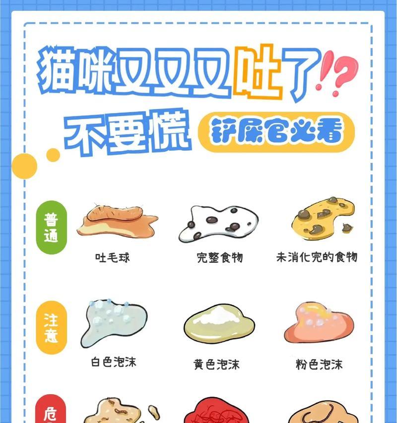 小猫吐出猫粮后应如何处理？