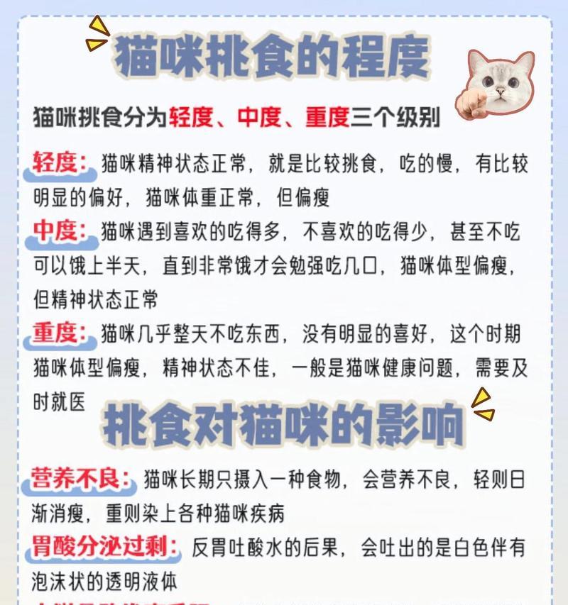 挑食猫咪的猫粮选择有哪些？如何改善猫咪的饮食习惯？