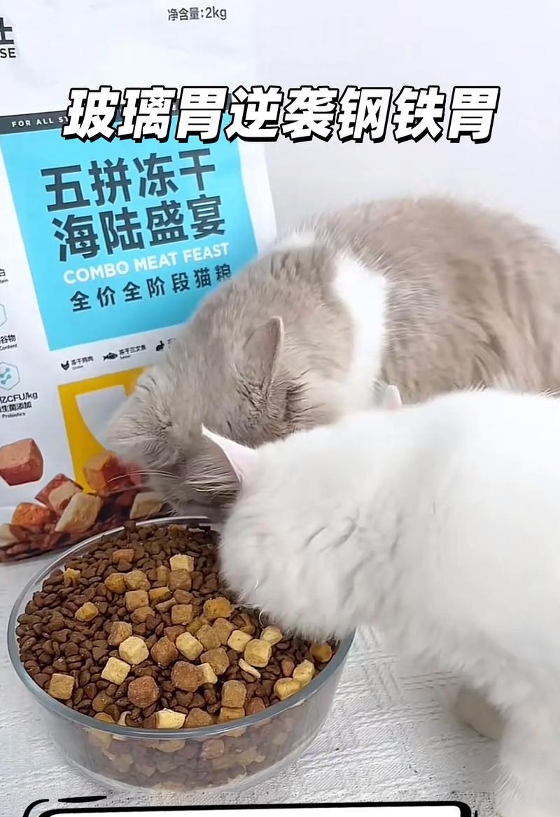 猫粮拌食有哪些技巧？如何让猫粮更美味？