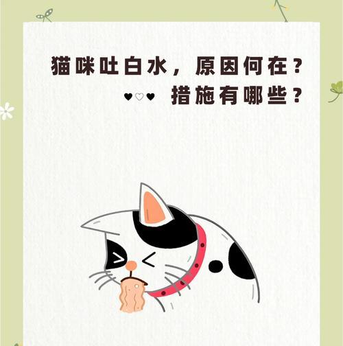 猫吐猫粮还吐泡泡是什么原因？