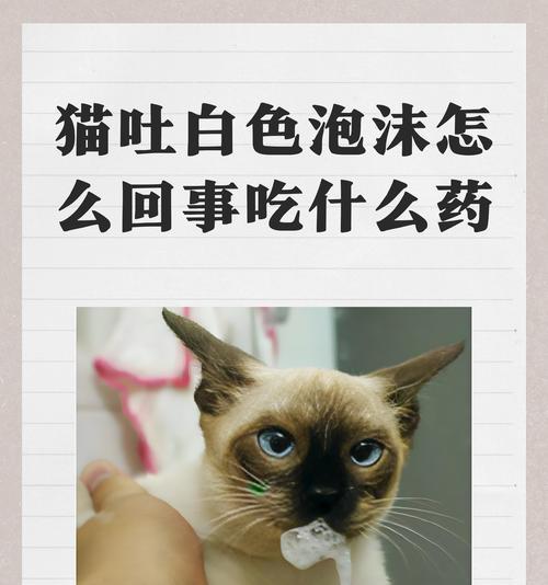 猫吐猫粮还吐泡泡是什么原因？