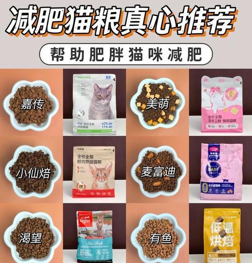 低脂猫粮能让猫咪减肥吗？其科学依据是什么？