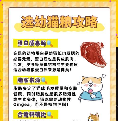 幼猫磨牙期应如何选择猫粮？有哪些推荐？