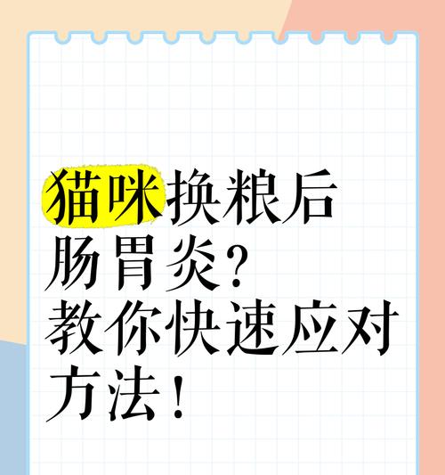 猫粮肠胃炎怎么预防的呢？有哪些有效的方法？