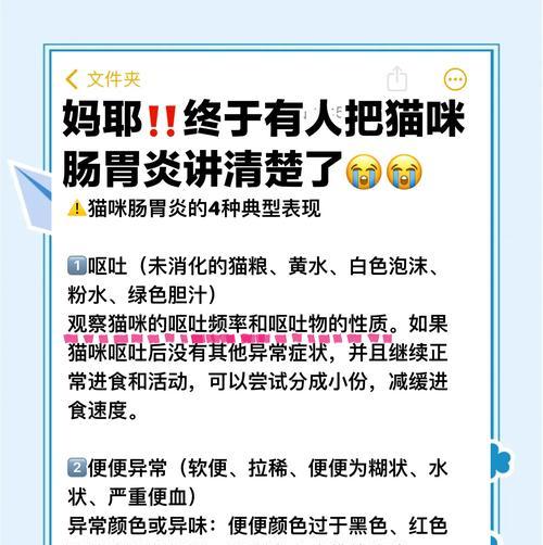 猫粮肠胃炎怎么预防的呢？有哪些有效的方法？