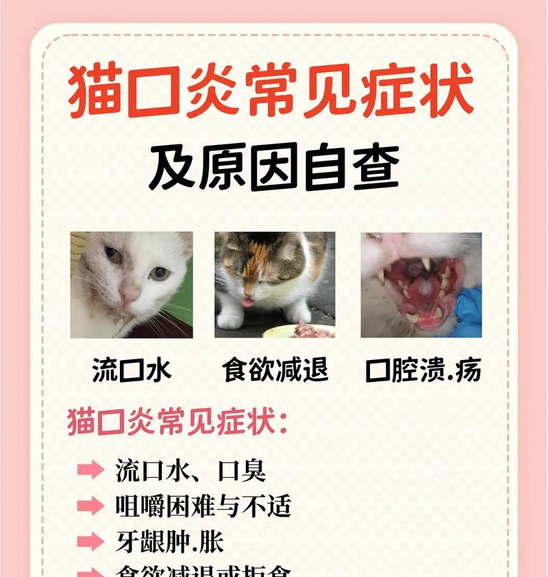 小猫吃猫粮嗓子不适的原因？