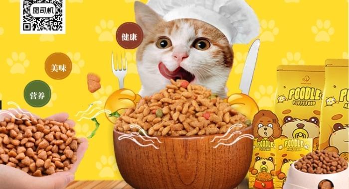 黄色圆球猫粮的正确名称是什么？这种猫粮有何特别之处？