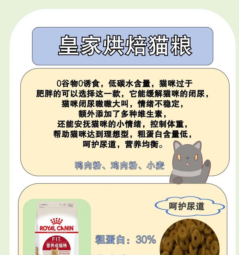 英国短毛猫的猫粮选择有哪些？