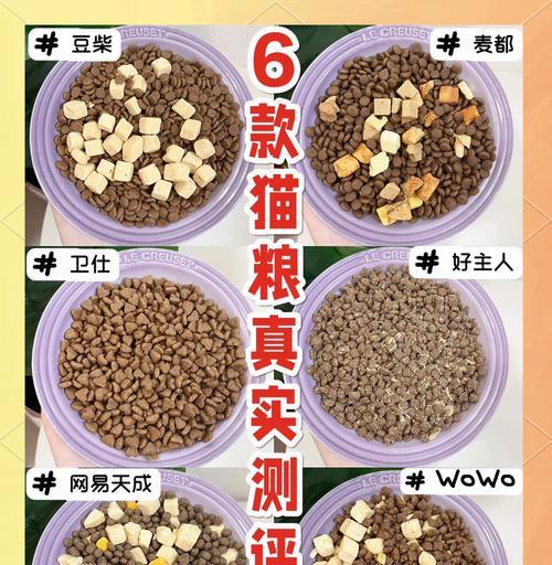 猫咪见到猫粮腿软是何原因？是否需要就医？