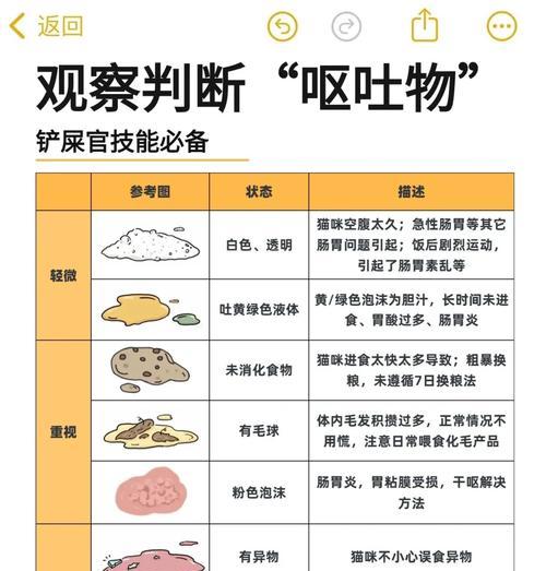 猫咪见到猫粮腿软是何原因？是否需要就医？