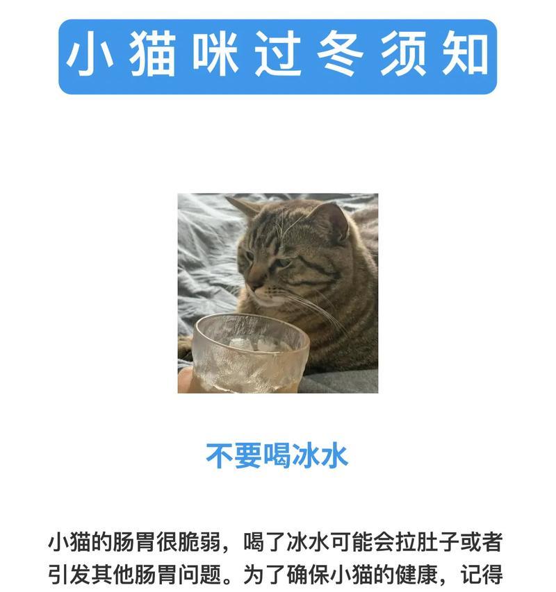 冬季猫食量减少会有什么影响？