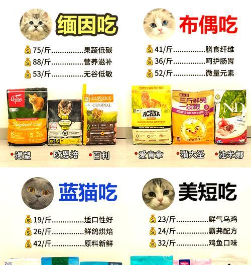 养布偶猫怎么吃猫粮？布偶猫的饮食管理有哪些要点？