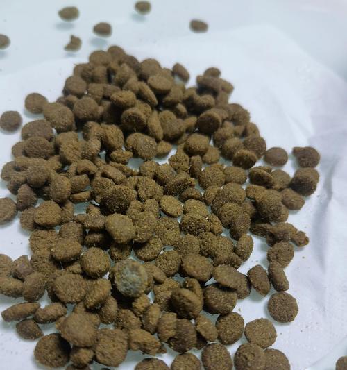 猫粮发霉的原因及解决方法是什么？