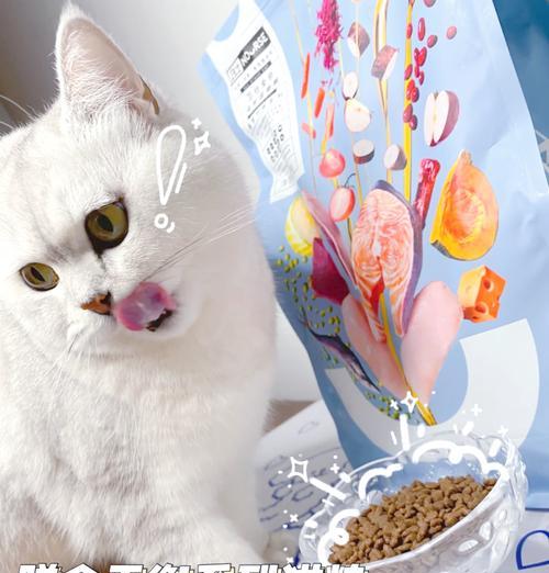 加菲猫每日猫粮摄入量是多少？如何选择合适的猫粮？