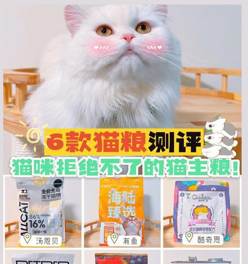 比亿奇猫粮的测评结果如何？适合哪些类型的猫咪？