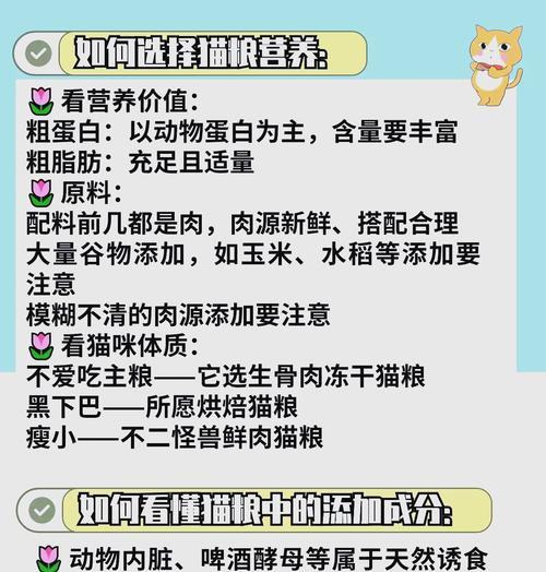 狸花猫增肥推荐哪种猫粮？增肥猫粮的营养成分如何？