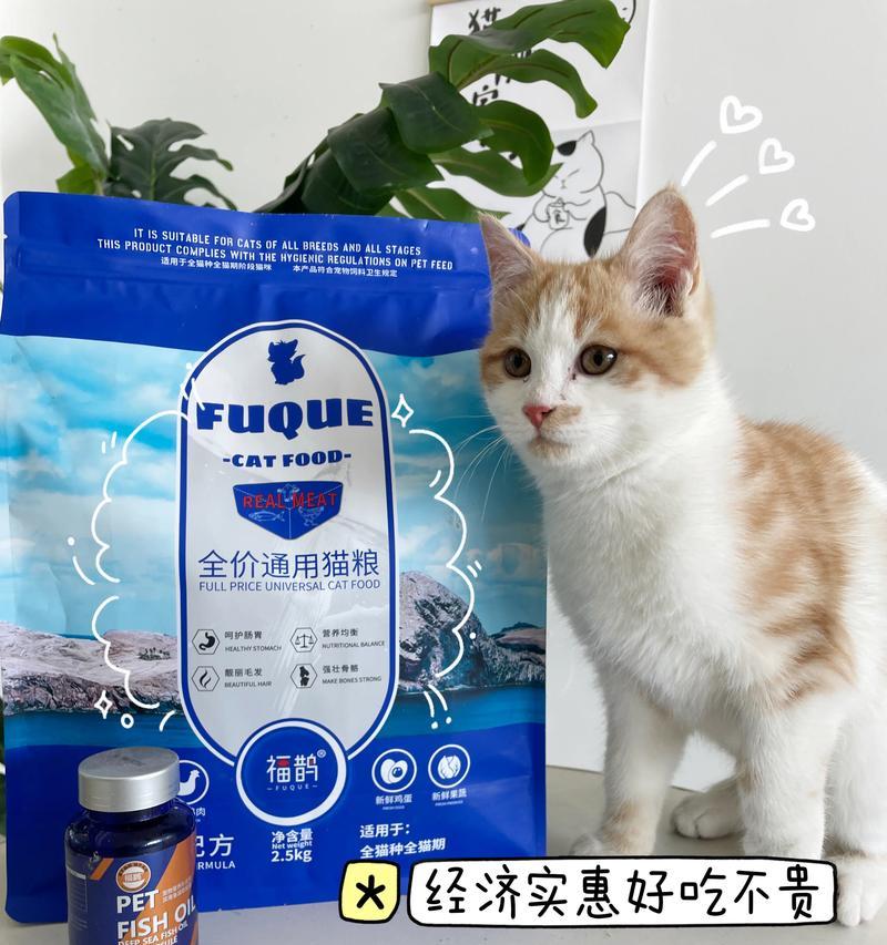 猫咪自装猫粮的行为有何特殊含义？