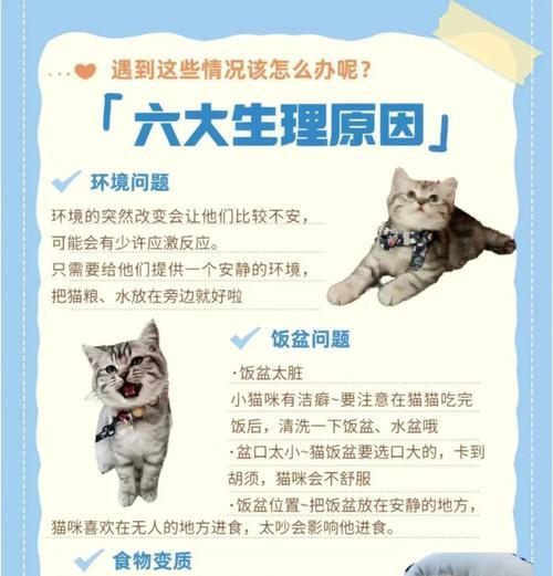 一岁猫咪拒食猫粮？可能原因及解决办法是什么？