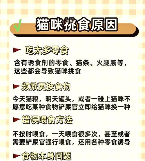 猫咪为什么总是剩饭？如何解决猫咪挑食问题？