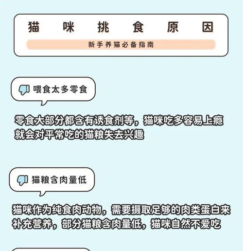 猫咪为什么总是剩饭？如何解决猫咪挑食问题？