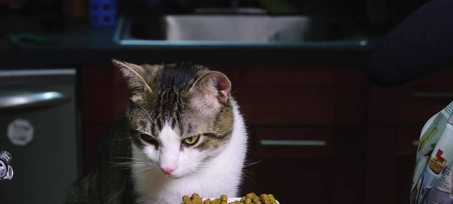猫粮中出现虫子是什么原因？如何预防这种情况？