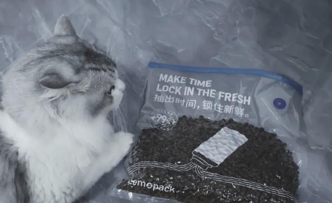 猫粮中出现虫子是什么原因？如何预防这种情况？