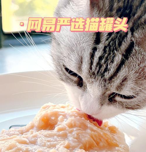 猫粮到快递点怎么寄？需要哪些步骤？