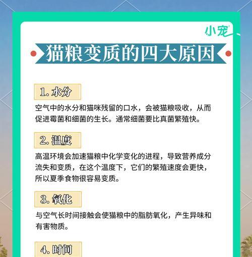 猫粮碗在猫笼内应如何放置？有哪些注意事项？