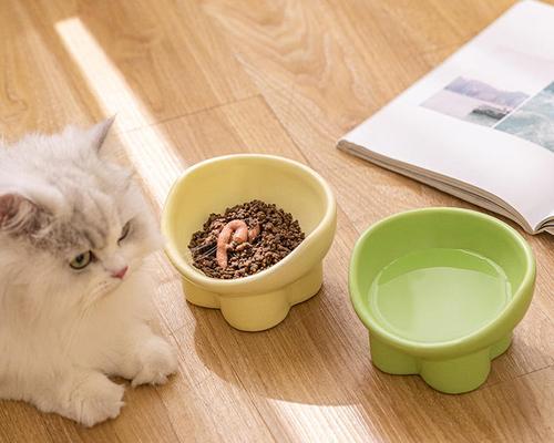 猫粮碗在猫笼内应如何放置？有哪些注意事项？
