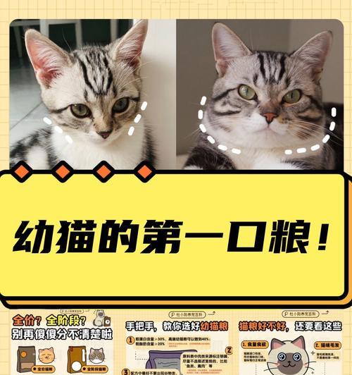 一个月大的猫咪应该喝什么猫粮？如何选择合适的幼猫粮？