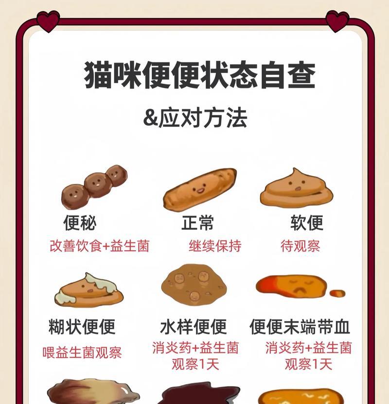 猫换新猫粮后频繁拉粑粑是何原因？需要采取什么措施？