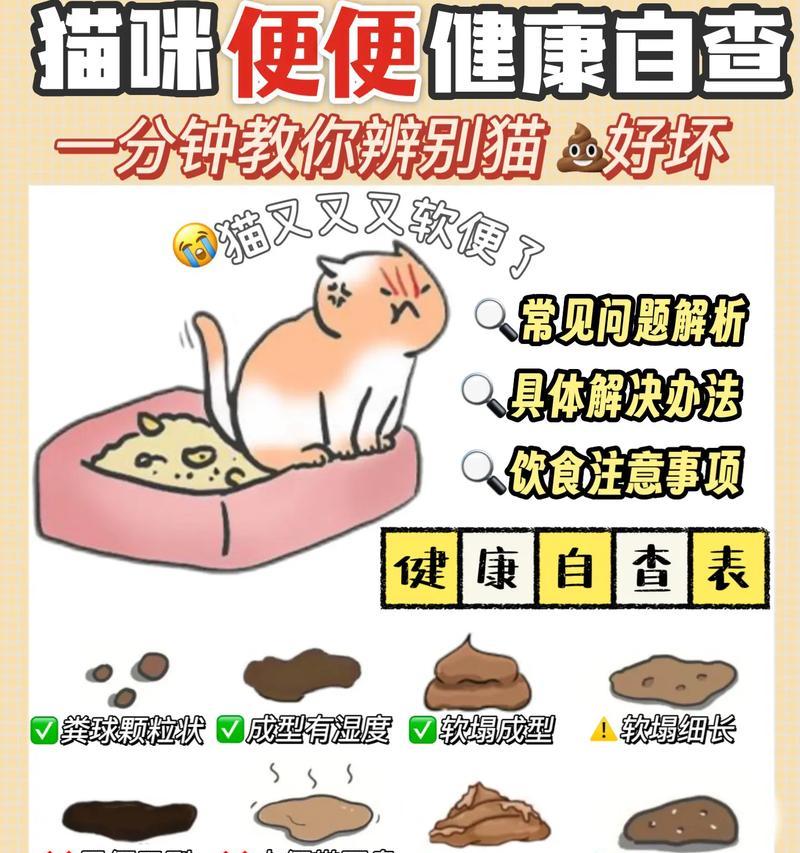 猫换新猫粮后频繁拉粑粑是何原因？需要采取什么措施？