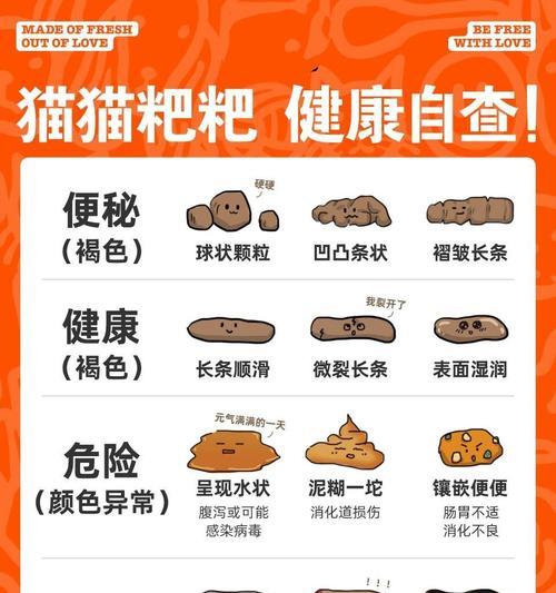 猫咪大便软是正常现象吗？原因是什么？