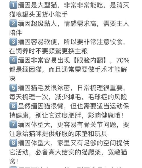 缅因猫纯猫粮喂养的建议和方法是什么？