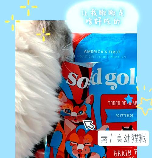 缅因猫纯猫粮喂养的建议和方法是什么？