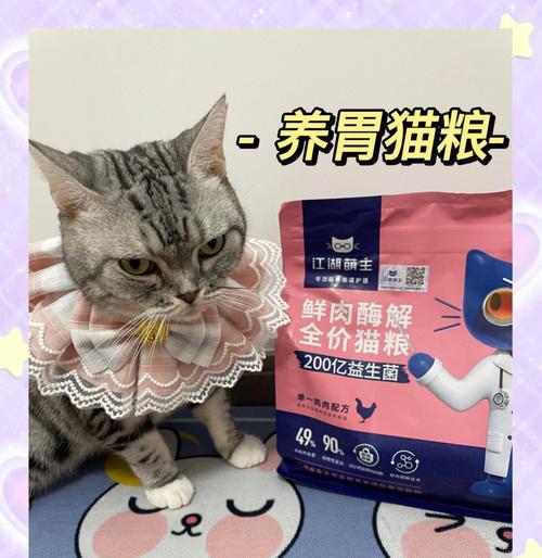 泡软猫粮猫咪更爱吃吗？泡猫粮有哪些正确的方法？