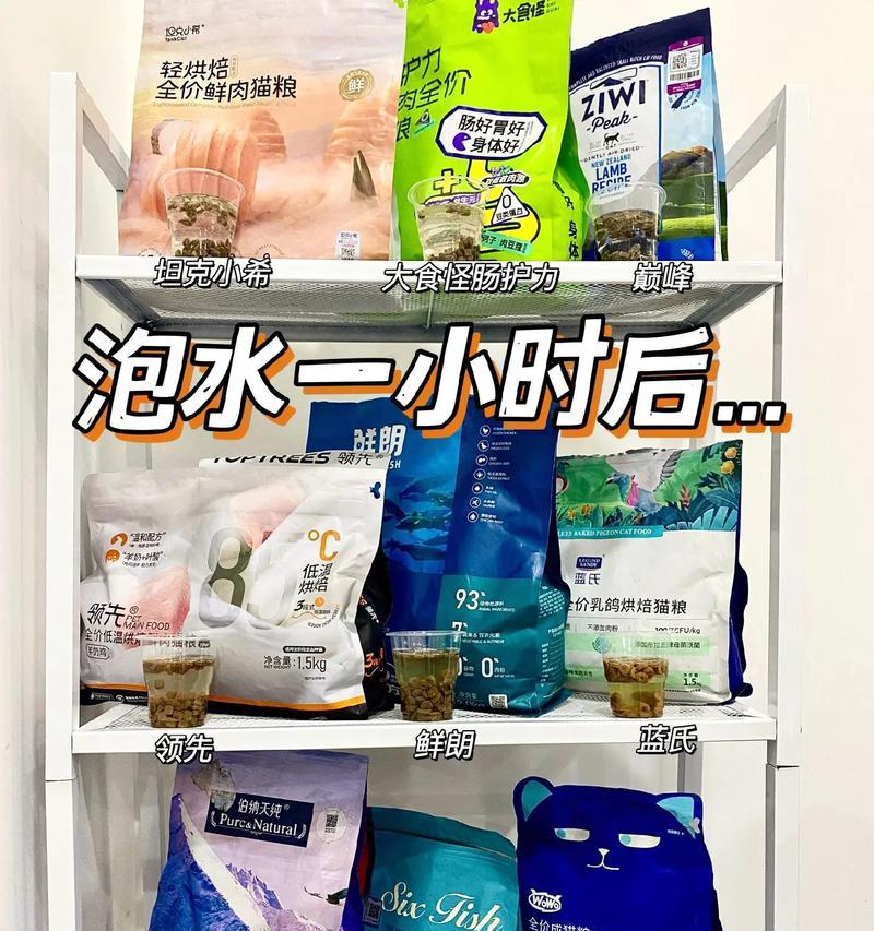 泡软猫粮猫咪更爱吃吗？泡猫粮有哪些正确的方法？