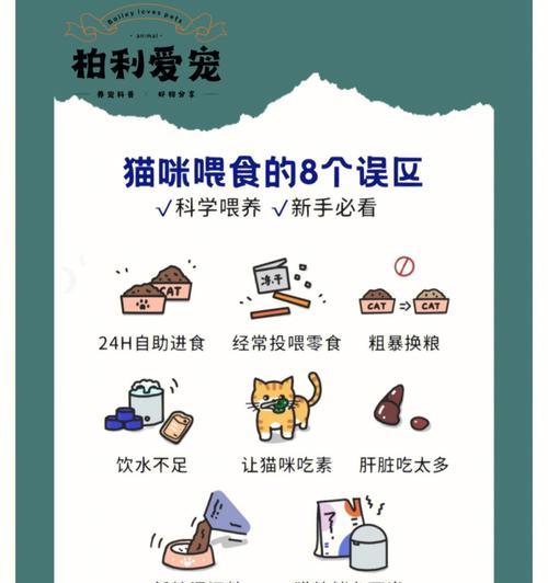 瘦弱饥饿的猫咪应如何正确喂食猫粮？