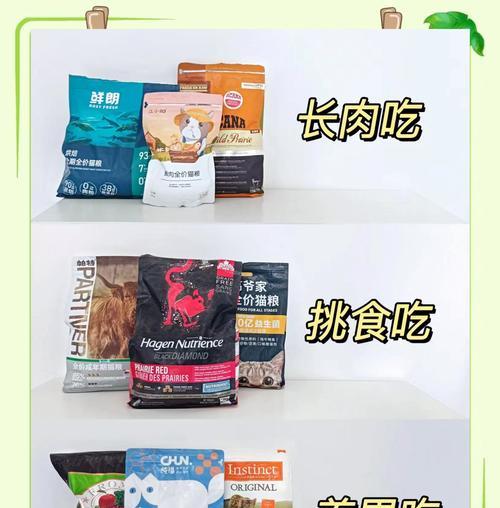 瘦弱饥饿的猫咪应如何正确喂食猫粮？