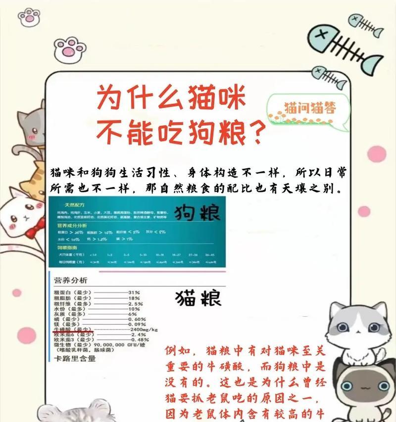 猫咪为什么不吃猫粮？有哪些可能的原因？