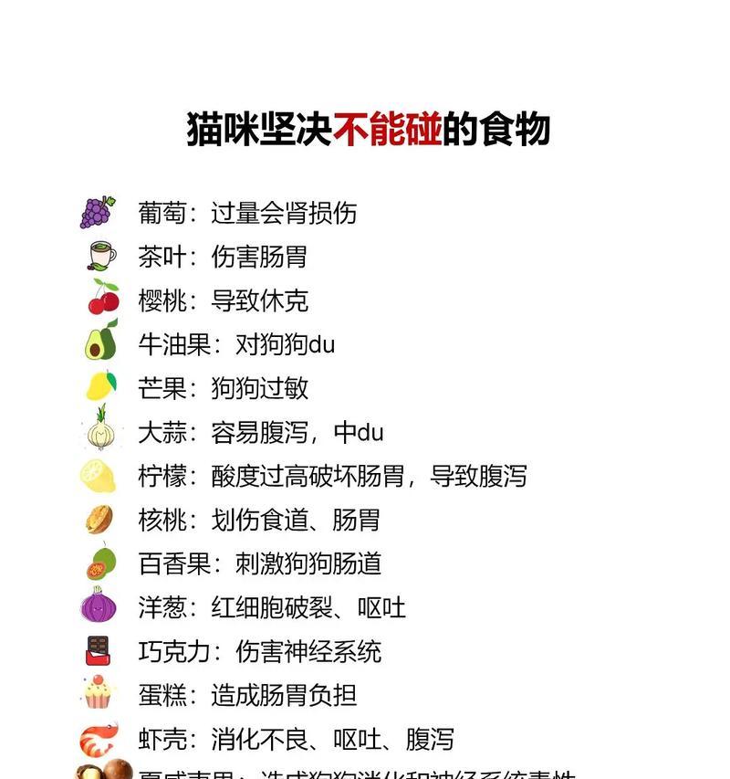 猫咪为什么不吃猫粮？有哪些可能的原因？