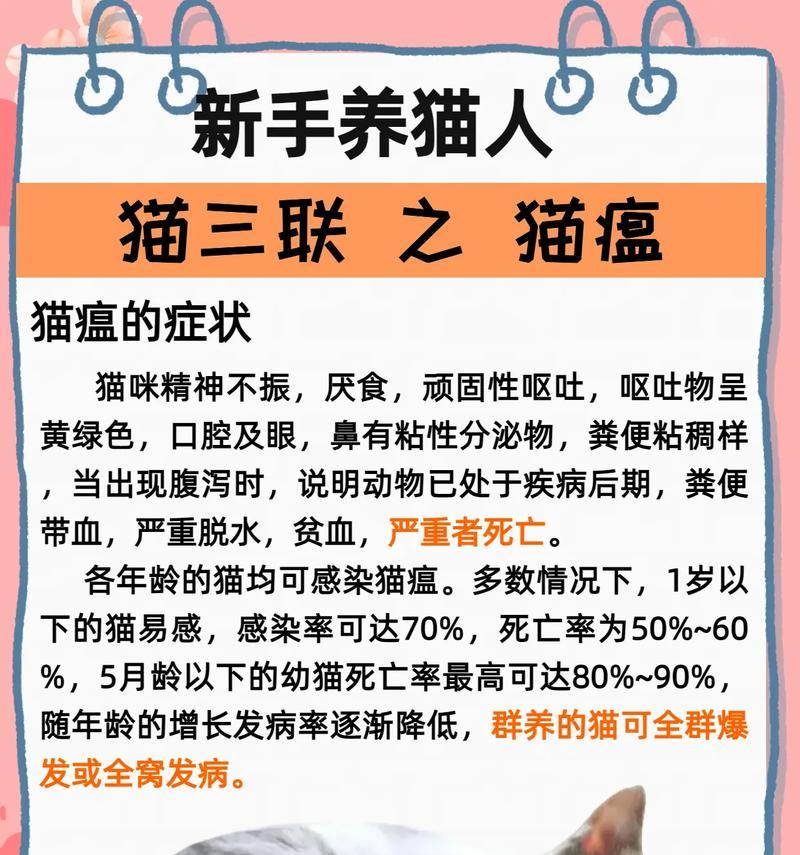 为什么有些猫不吃猫粮？如何解决猫咪拒食问题？