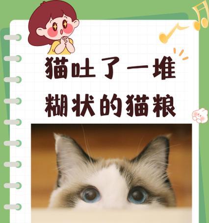 猫咪吐出糊状猫粮应该吃什么药？