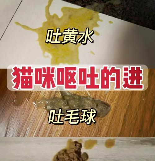 猫粮导致吐绿水是正常现象吗？可能的原因是什么？