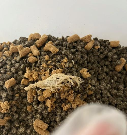 猫粮导致吐绿水是正常现象吗？可能的原因是什么？