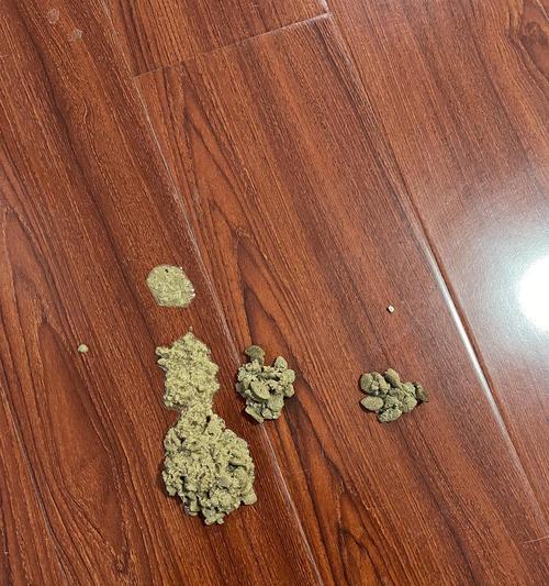 猫吐完猫粮又吐白色泡沫怎么回事？需要立即就医吗？