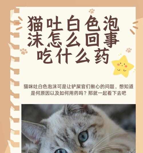 猫吐完猫粮又吐白色泡沫怎么回事？需要立即就医吗？