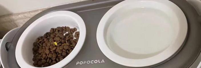 使用陶瓷碗喂猫粮为何会出现粘底现象？