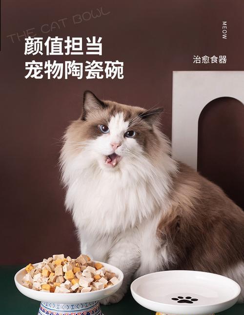 使用陶瓷碗喂猫粮为何会出现粘底现象？